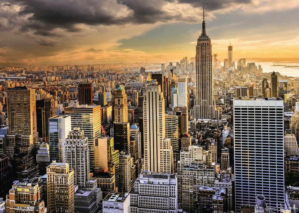 PFG Ravensburger New York (1000pcs) (Usage/Used - PUZZLES FOR GOOD)
