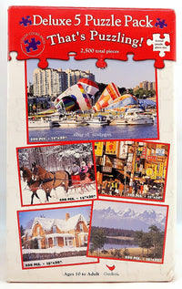 PFG Deluxe 5 Puzzle Pack Collectors Tin (Usage/Used - PUZZLES FOR GOOD)