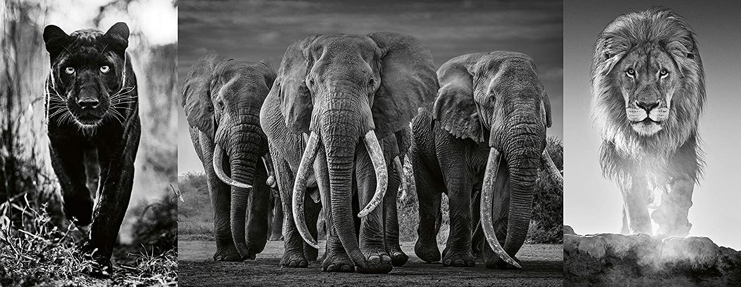Ravensburger Triptych - Panther , Elephants, Lion (1000pcs) (Panoramic)