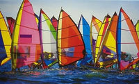PFG Colorful Windsurfing (Utilisation / Utilisé - Puzzles pour de bon)