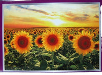 PFG Blooming Sunflowers (300pcs) (Usage/Used - PUZZLES FOR GOOD)