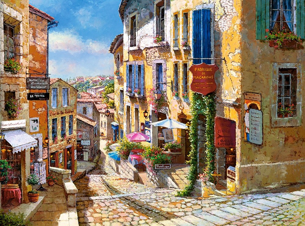 PFG Saint Emilion - France, Sam Park (2000pcs) (Usage/Used - PUZZLES FOR GOOD)
