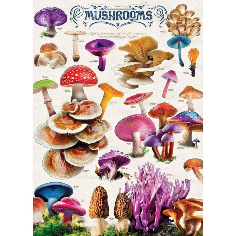 Field Guide - Mushrooms (1000pcs)