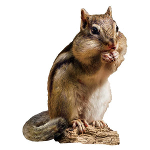 Chipmunk - Shaped (100pcs)