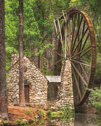 PFG Water Wheel (1000pcs) (utilisation / utilisée - puzzles pour de bon)