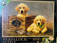 PFG Wingmaster (utilisation / utilisée - puzzles pour de bon)