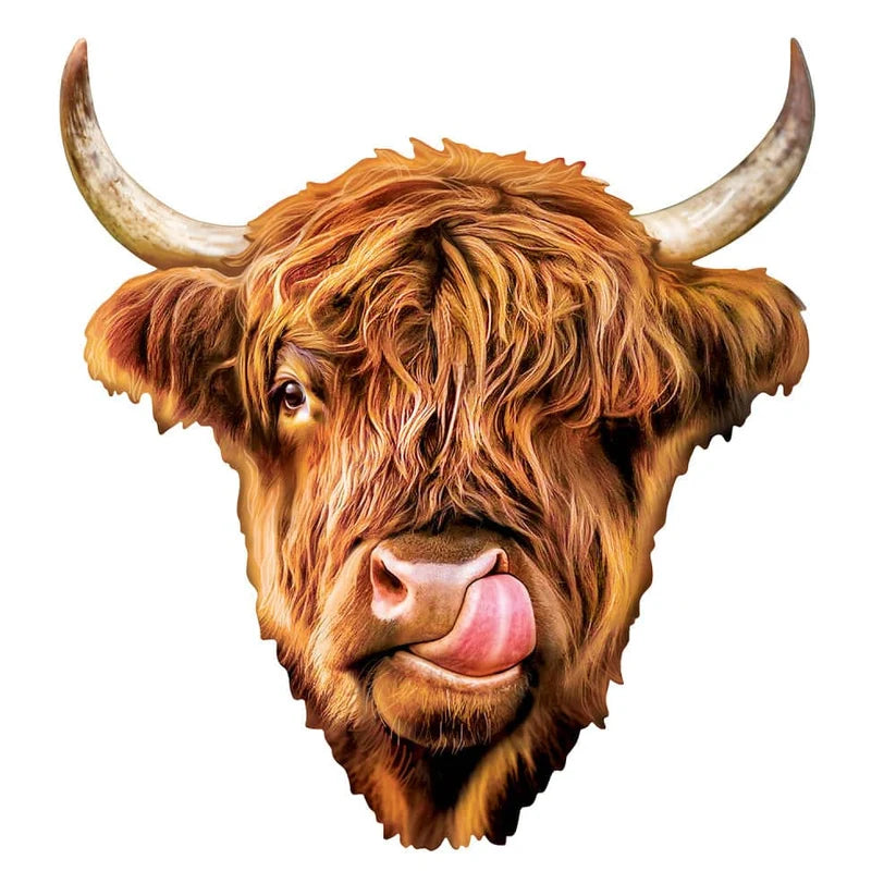 Highland Cow - Shaped (100pcs)
