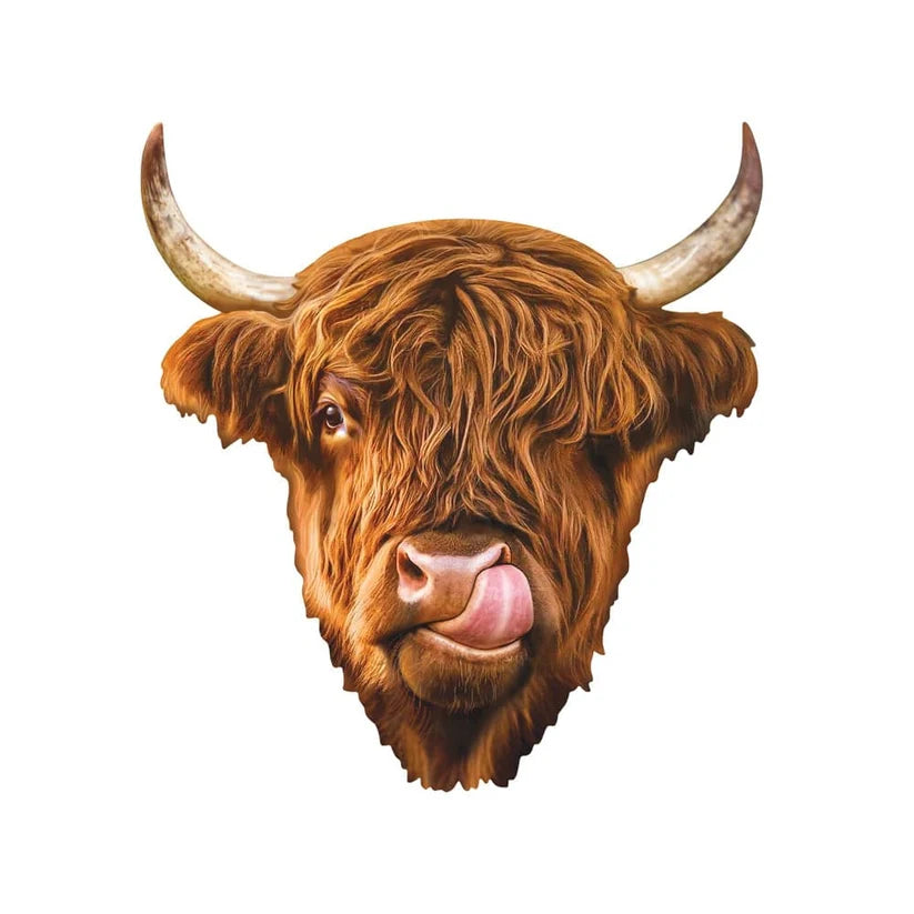 Furry - Highland Cow - Shaped (48pcs)