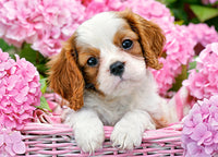 Chiot en fleurs roses