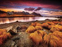 Collection de camping - Lofoten Islands, Norvège (550pcs)