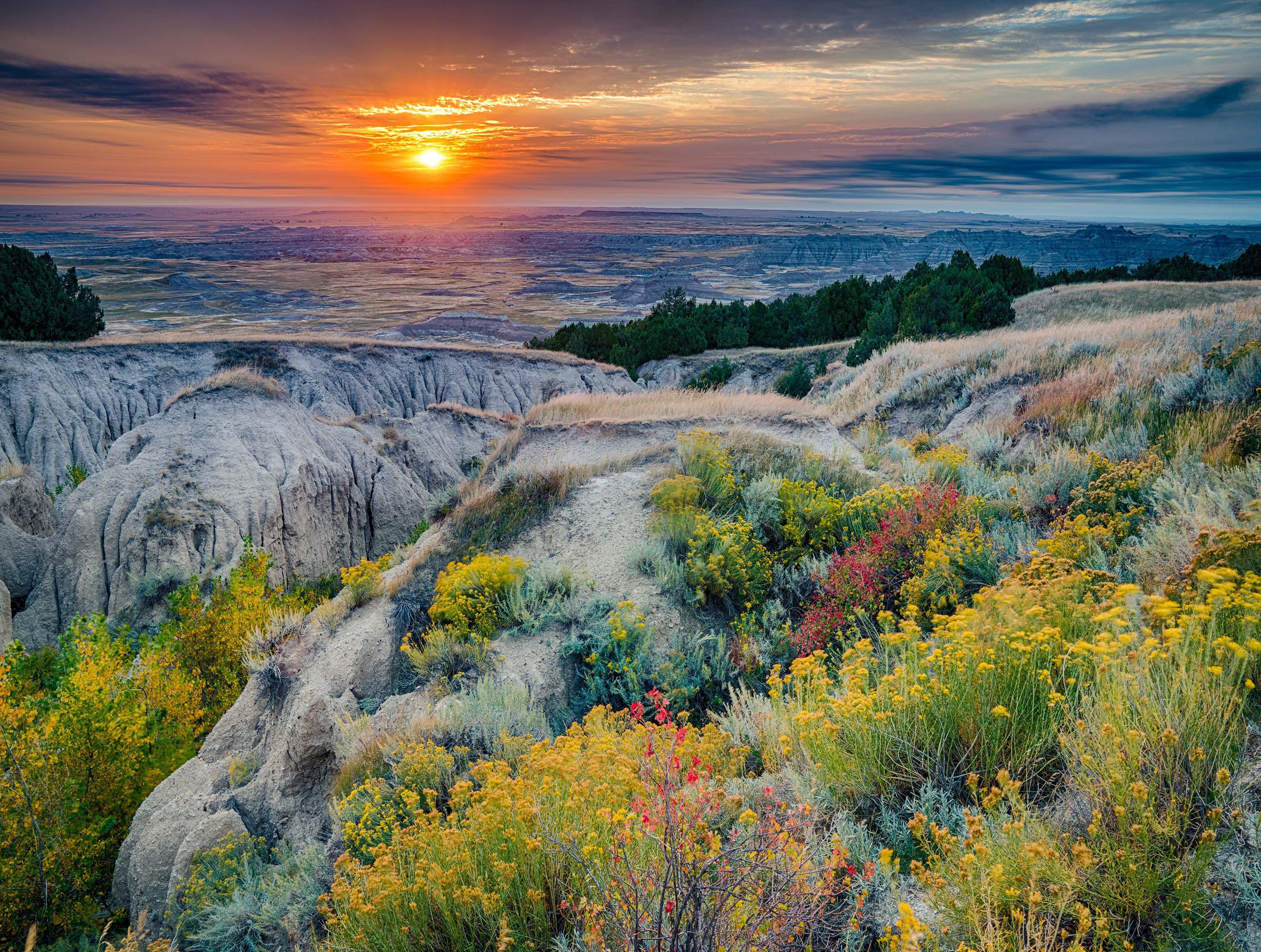 Collection des cartes postales - Badlands National Park, États-Unis (550pcs)