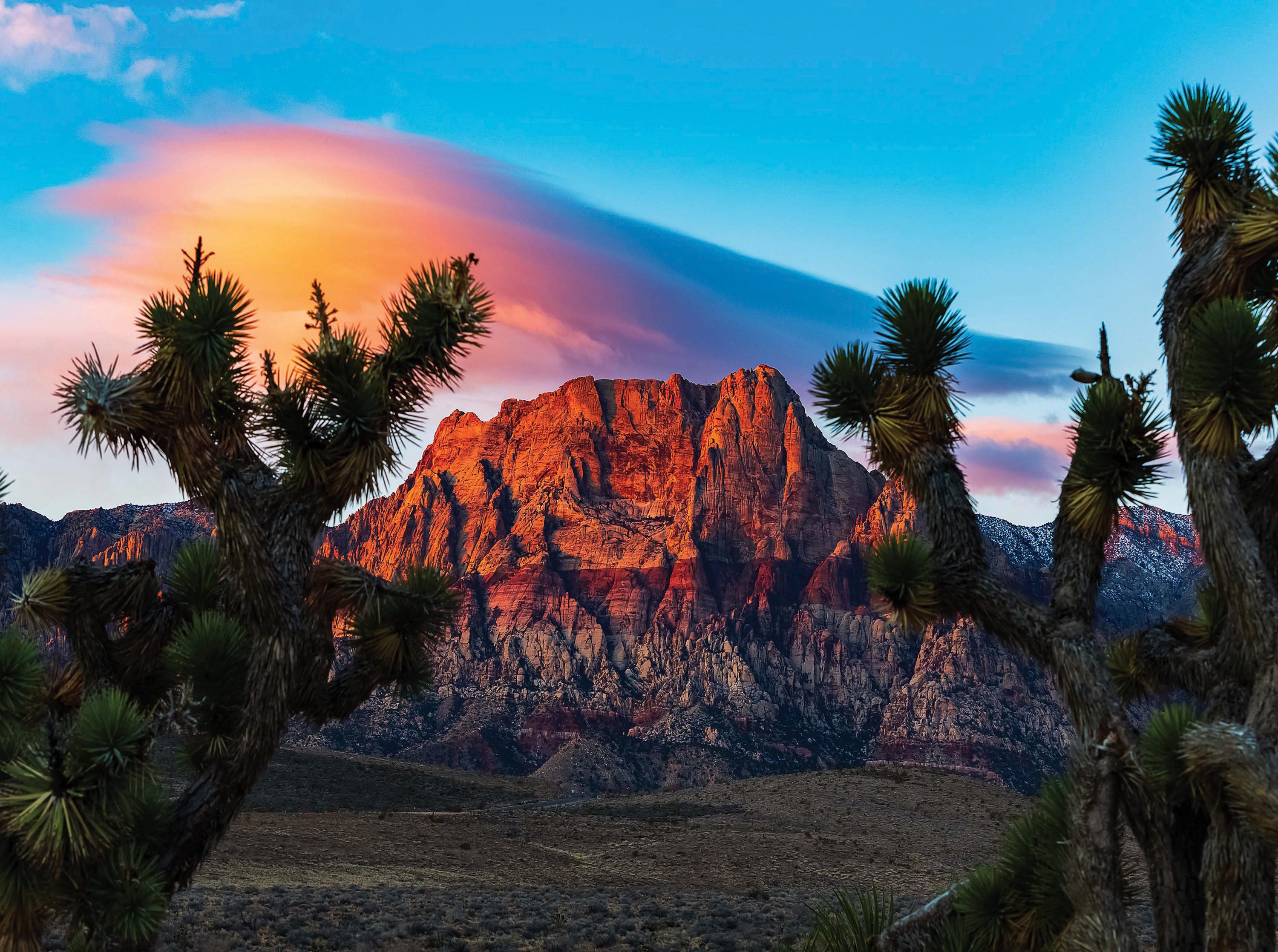 PFG Postcard Collection - Red Rock Canyon, USA (1000pcs) (Usage/Used - PUZZLES FOR GOOD)