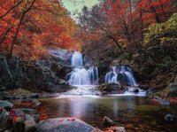 Postcard Collection - Seoraksan National Park, South Korea (1000pcs)