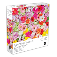 Monde coloré - les fleurs colorées (750pcs)