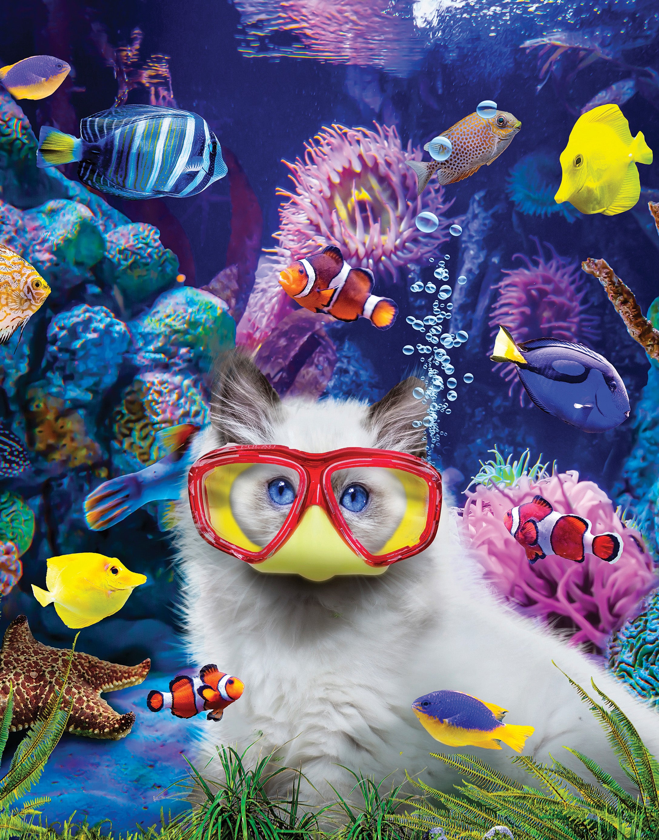 10-minute Break -Kitten in a Fish Tank, Karen Burke (100pcs)