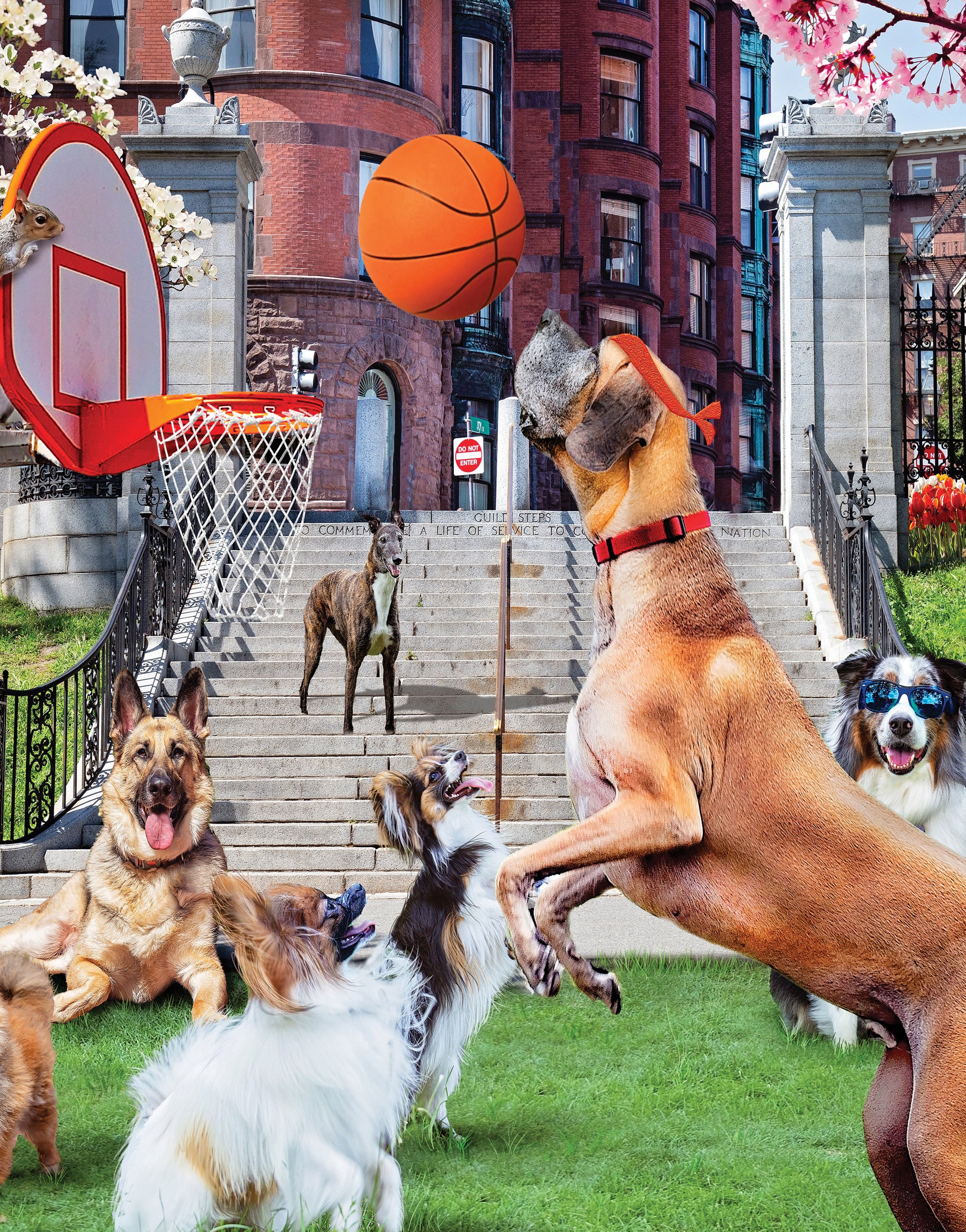 10-minute Break - Shooting Hoops, Karen Burke (100pcs)