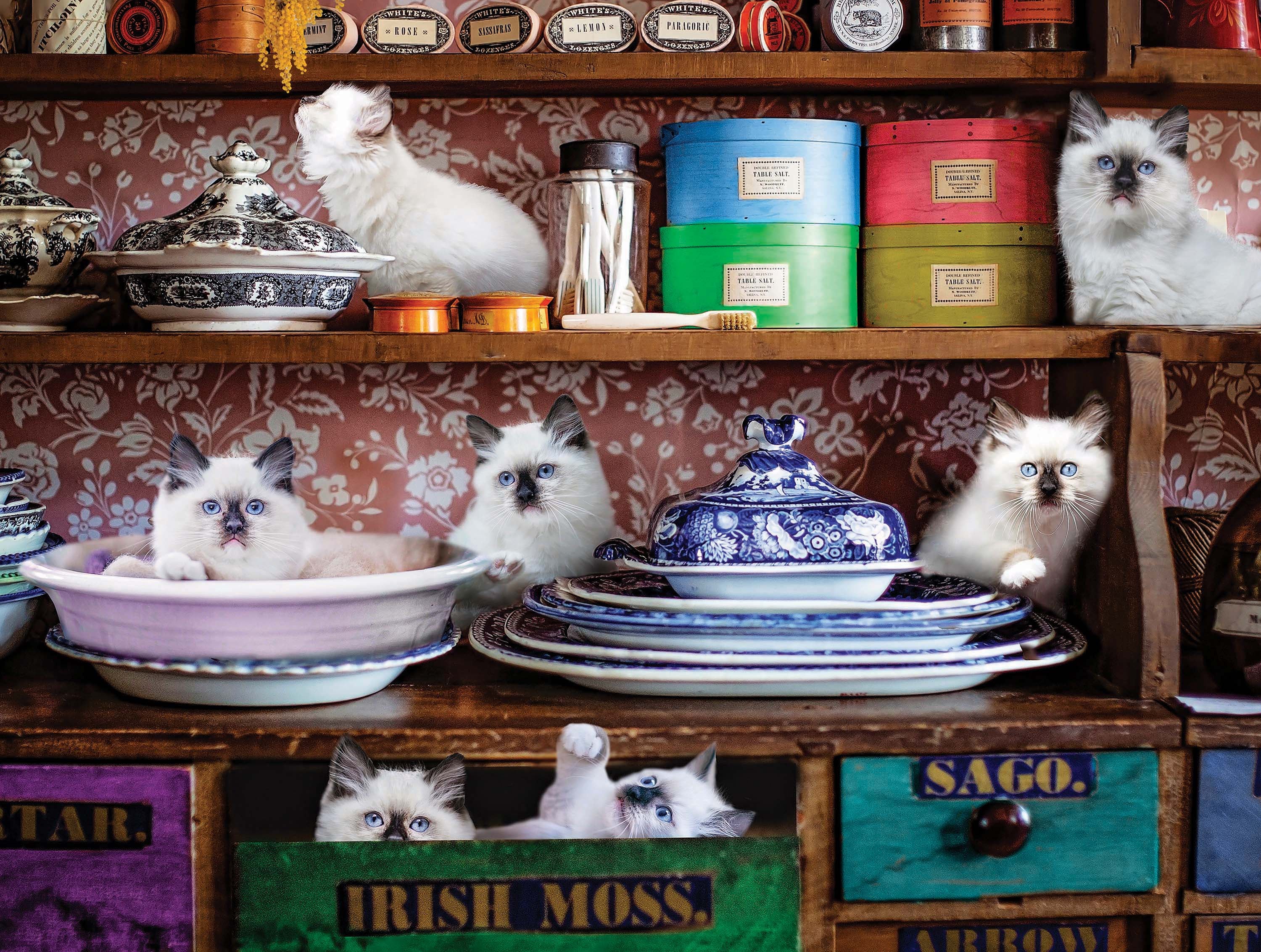 Country Store Kittens, Karen Burke (300pcs)