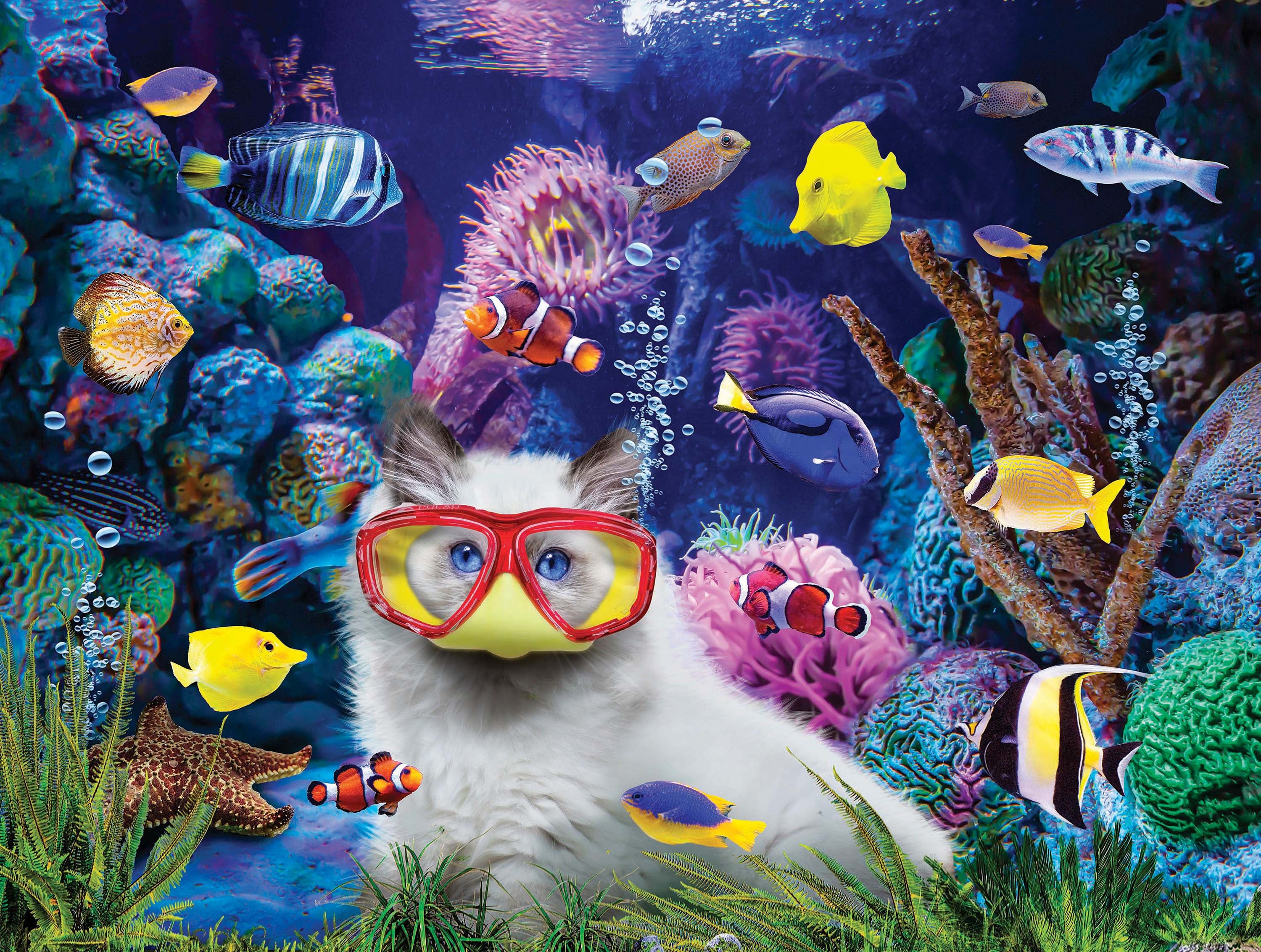 Kitten In A Fish Tank, Karen Burke (300pcs)