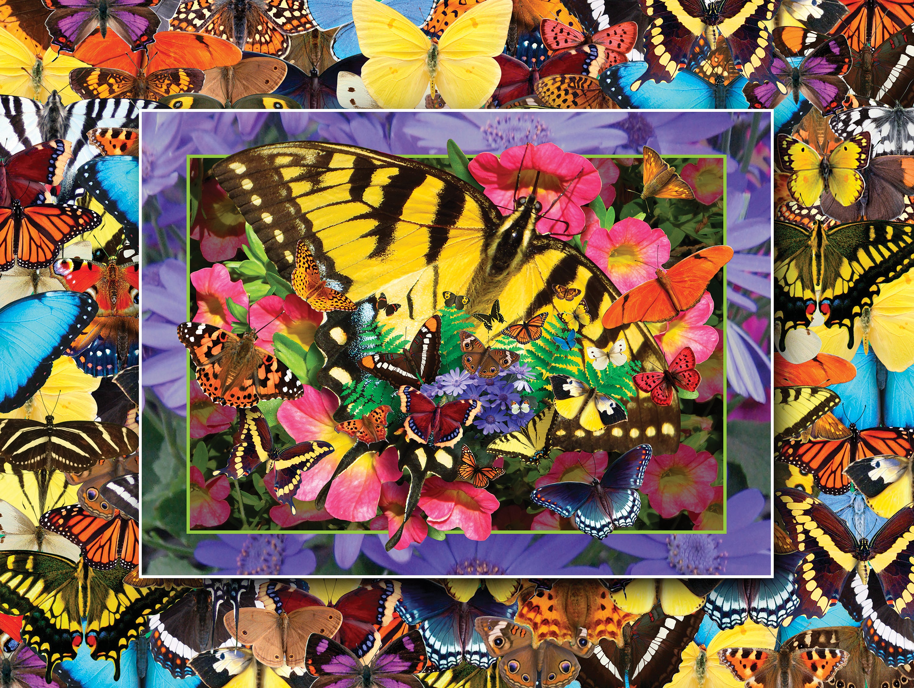 Flights of Fancy - Butterfly Heaven, Alan Giana (550pcs)