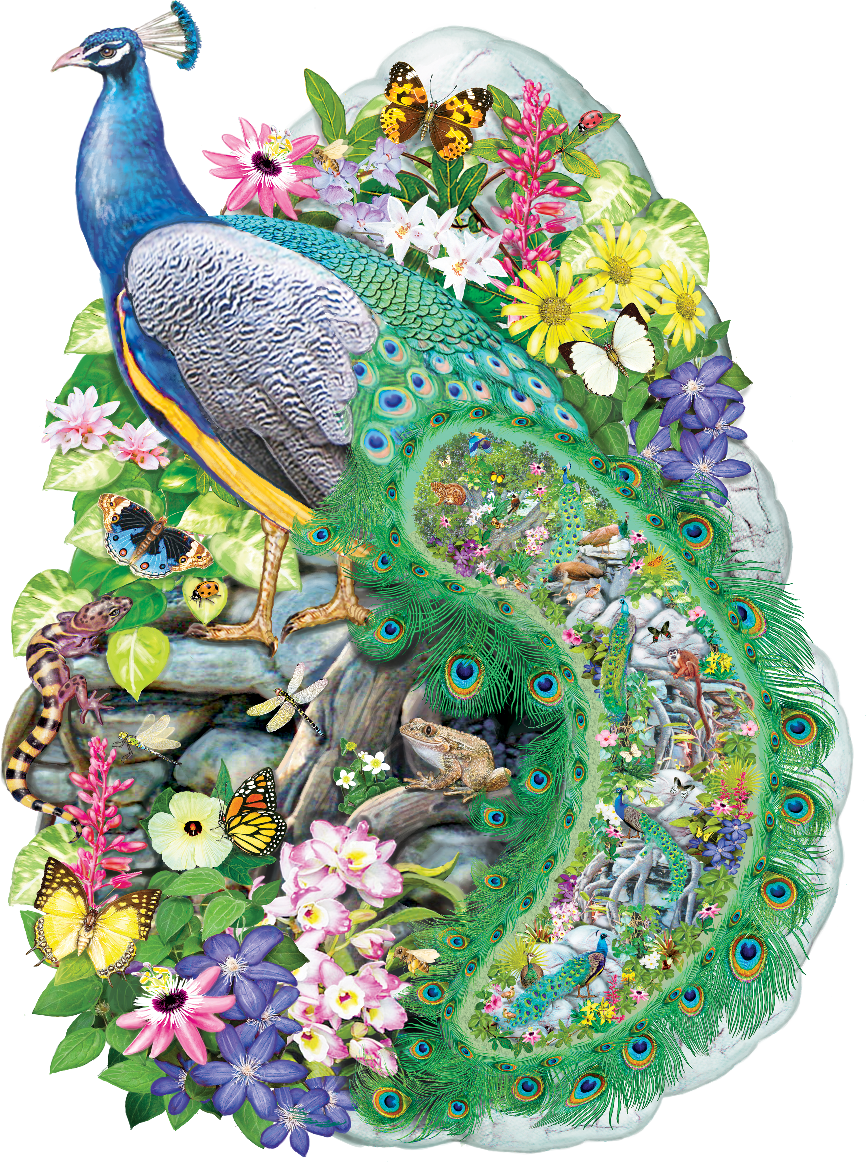 Peacock Of India, Rosiland Solomon (SHAPED) (300pcs)