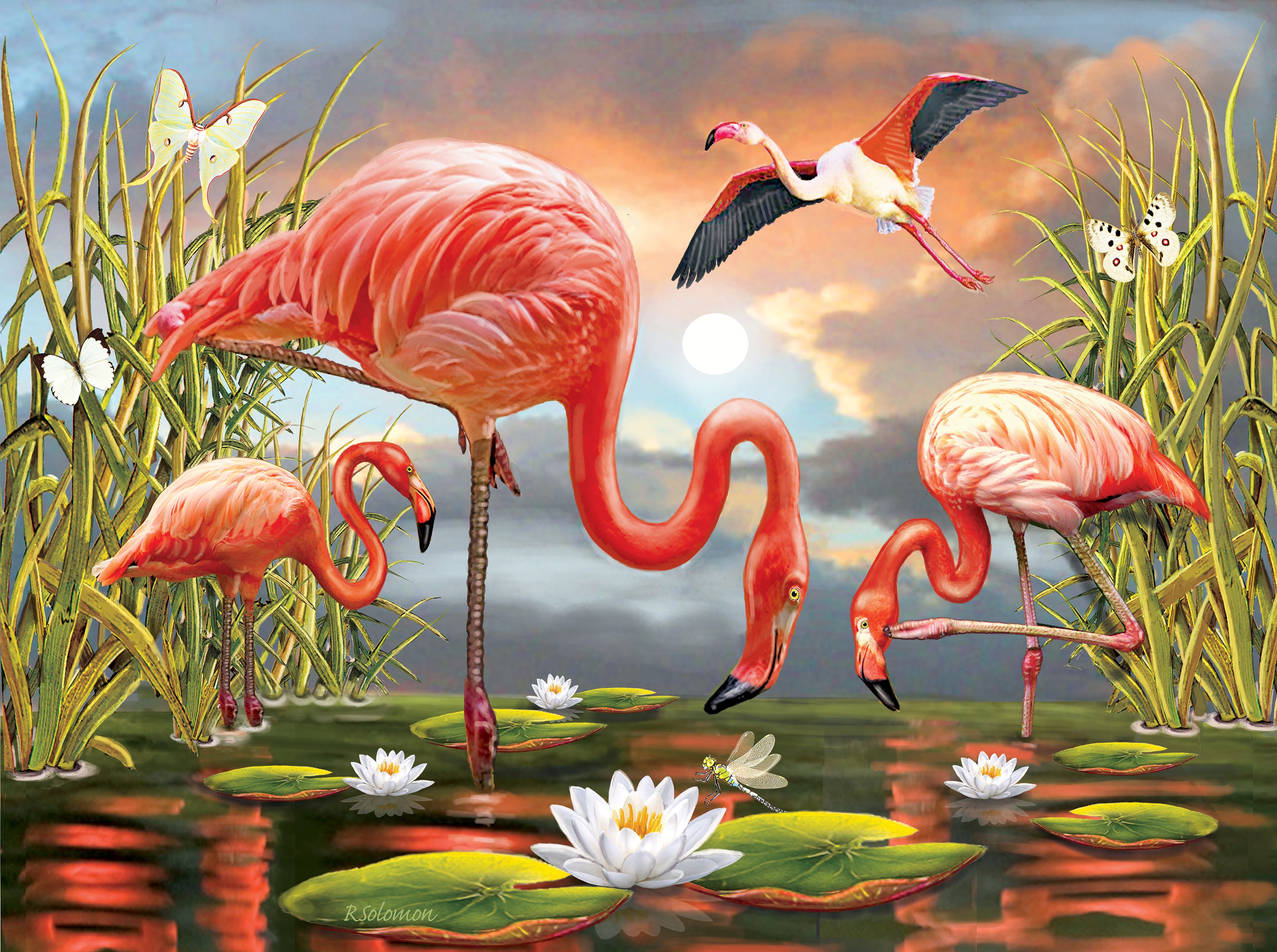 Flamingos, Rosiland Solomon (1000pcs)