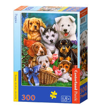 Chiots, 300pc