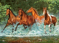 Cascade Run, 300pc