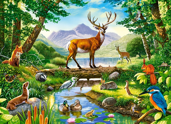 Woodland Harmony, Castorland