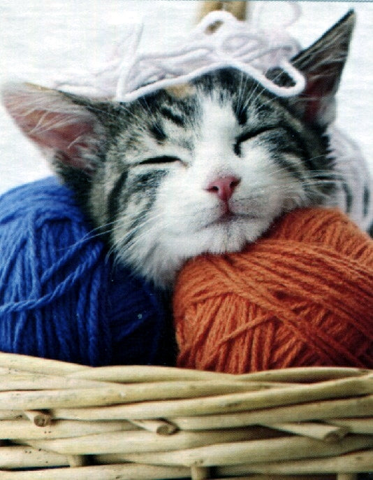 Kitten and Yarn