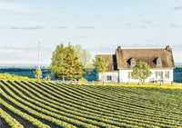 Ile d'Orleans, Quebec (Île d'Orléans, Québec)