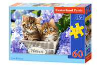 Chatons mignons, 60pc