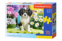 Spaniel Puppy en fleurs, 70pc