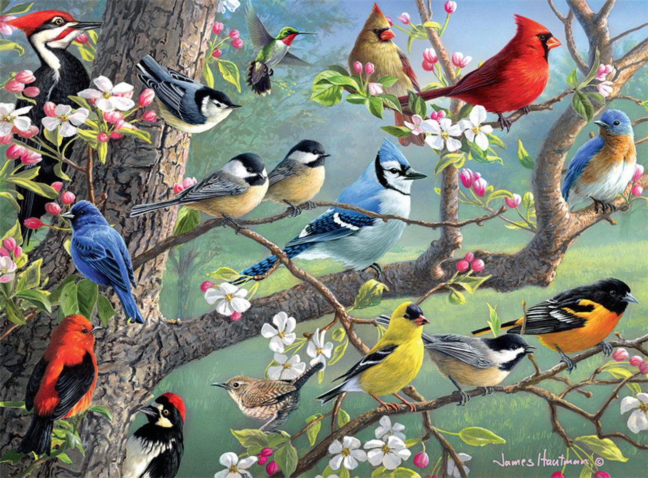 PFG Birds in an Orchard, Hautman Brothers (Usage/Used - PUZZLES FOR GOOD)