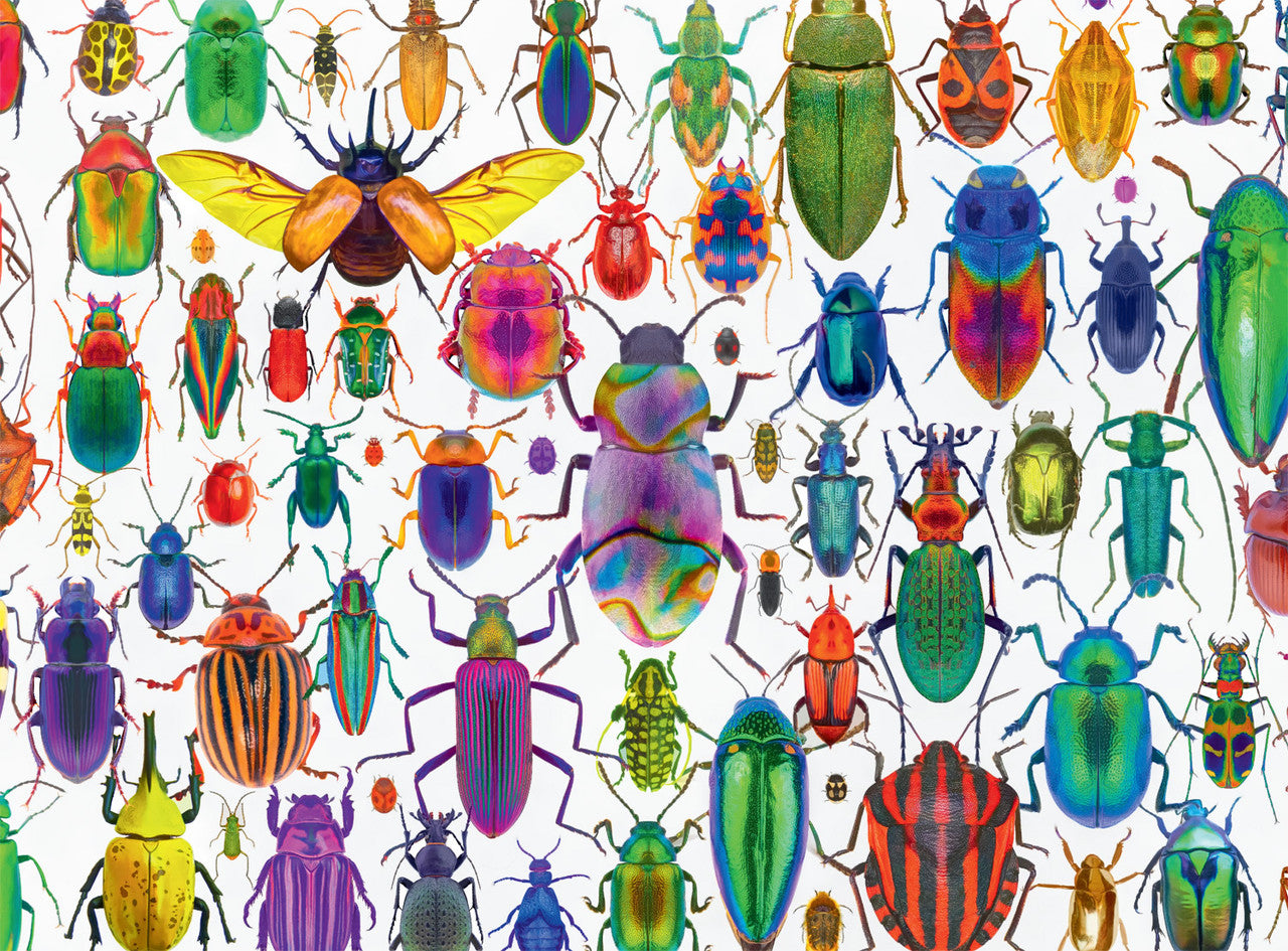 Bountiful Beetles, Lars Stewart (1000pcs)