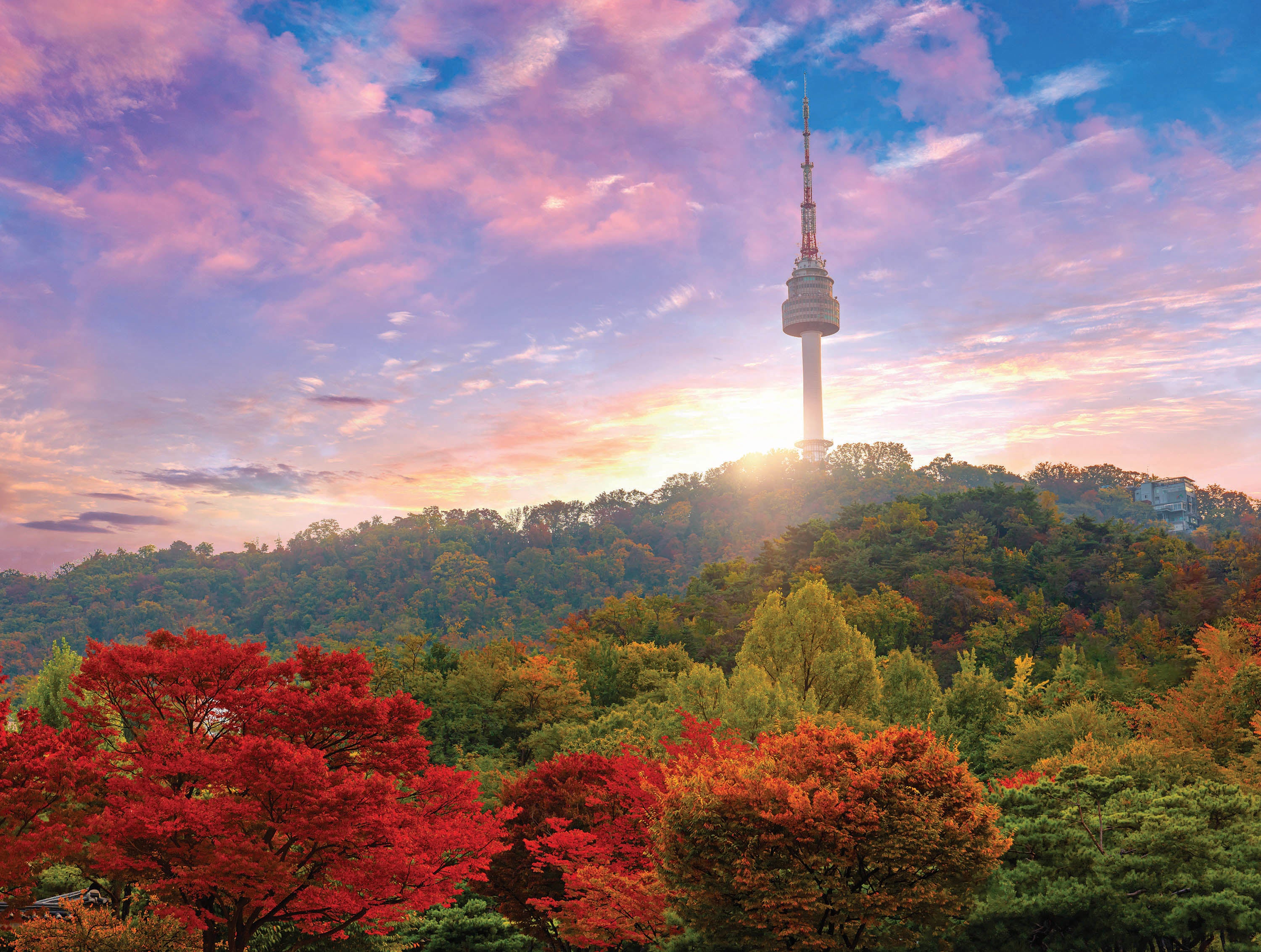 Postcard Collection - Seoul Tower, South Korea (300pcs)