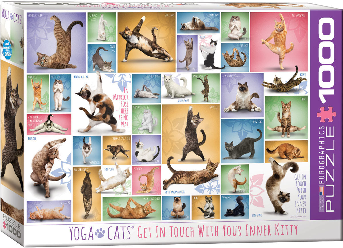 Yoga Cats, Get in Touch With Your Inner Kitty