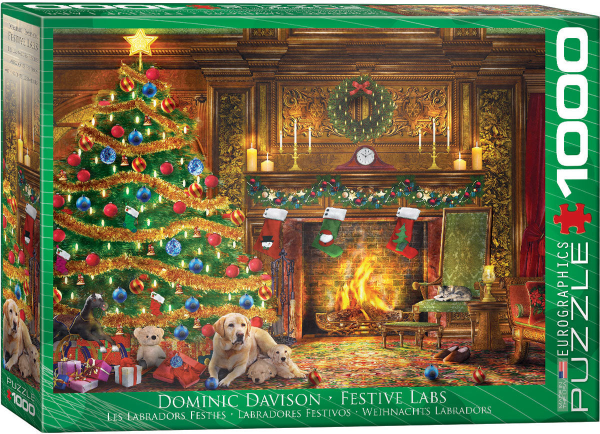 Festive Labs, Dominic Davison