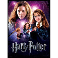 Hermione Granger - Puzzle d'affiches