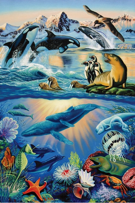 Underwater Playground
