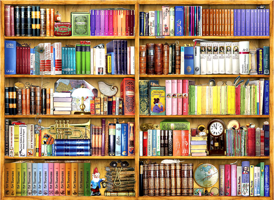 Bookshelves, Barbara Behr (1000pcs)