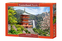 Temple Seiganto-ji, Japon