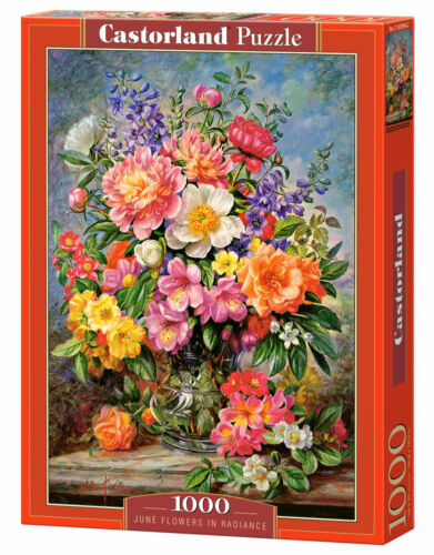 June Flowers in Radiance, Albert Williams (1000pcs)