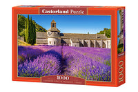 Champ de lavande dans Provence, France (1000pcs)