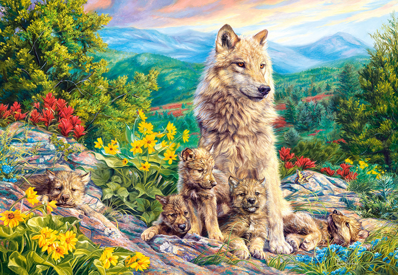 Nouvelle génération, Lucie Bilodeau (1000pcs)
