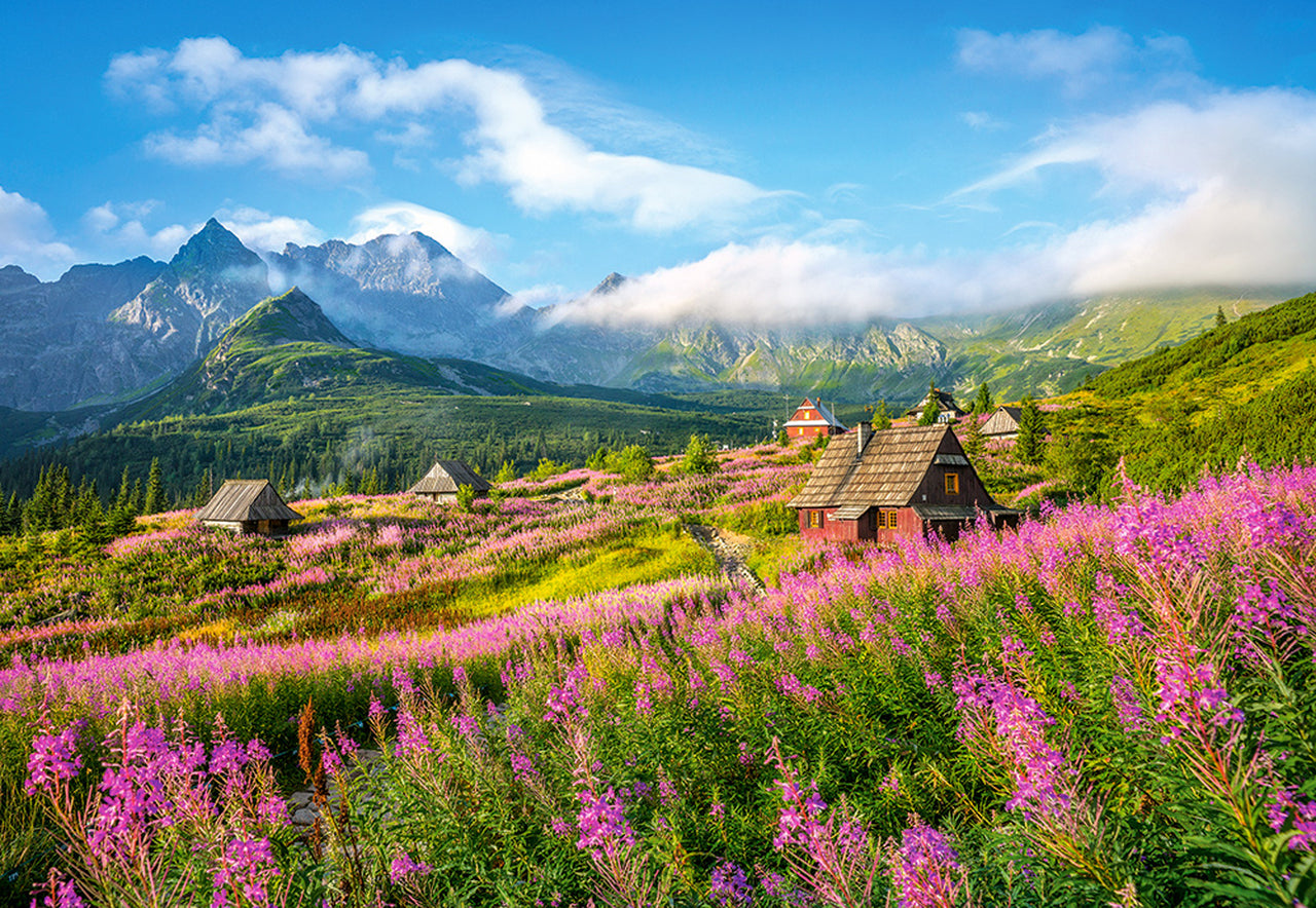 Hala Gasienicowa, Tatras