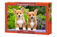 Puppies Welsh Corgi (1000pcs)
