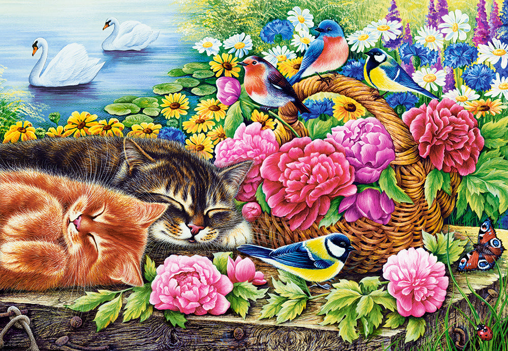 Dimanche paresseux (1000pcs)