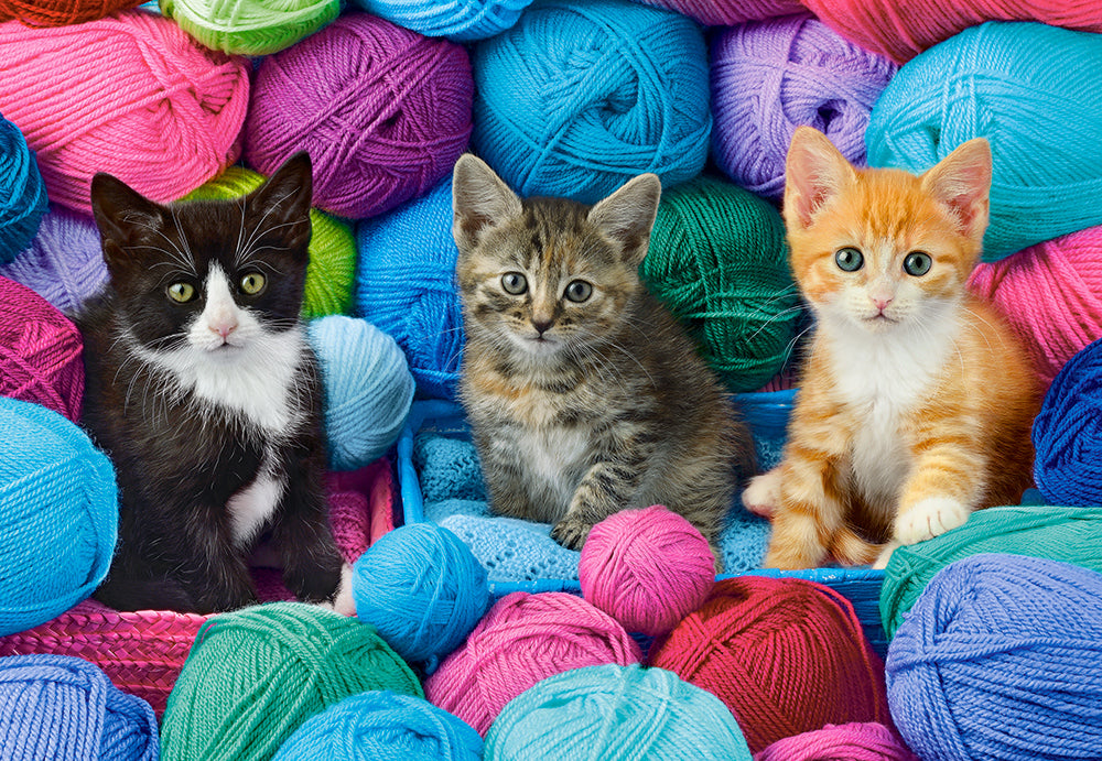 Kittens in Yarn Store (1000pcs)