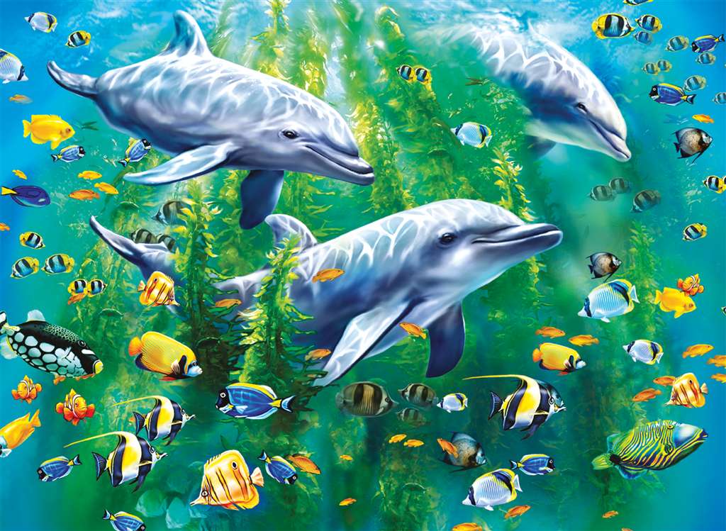 Ravensburger Dolphin Trio
