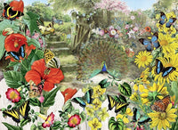 Peacock dans le jardin, Barbara Behr (1000pcs)